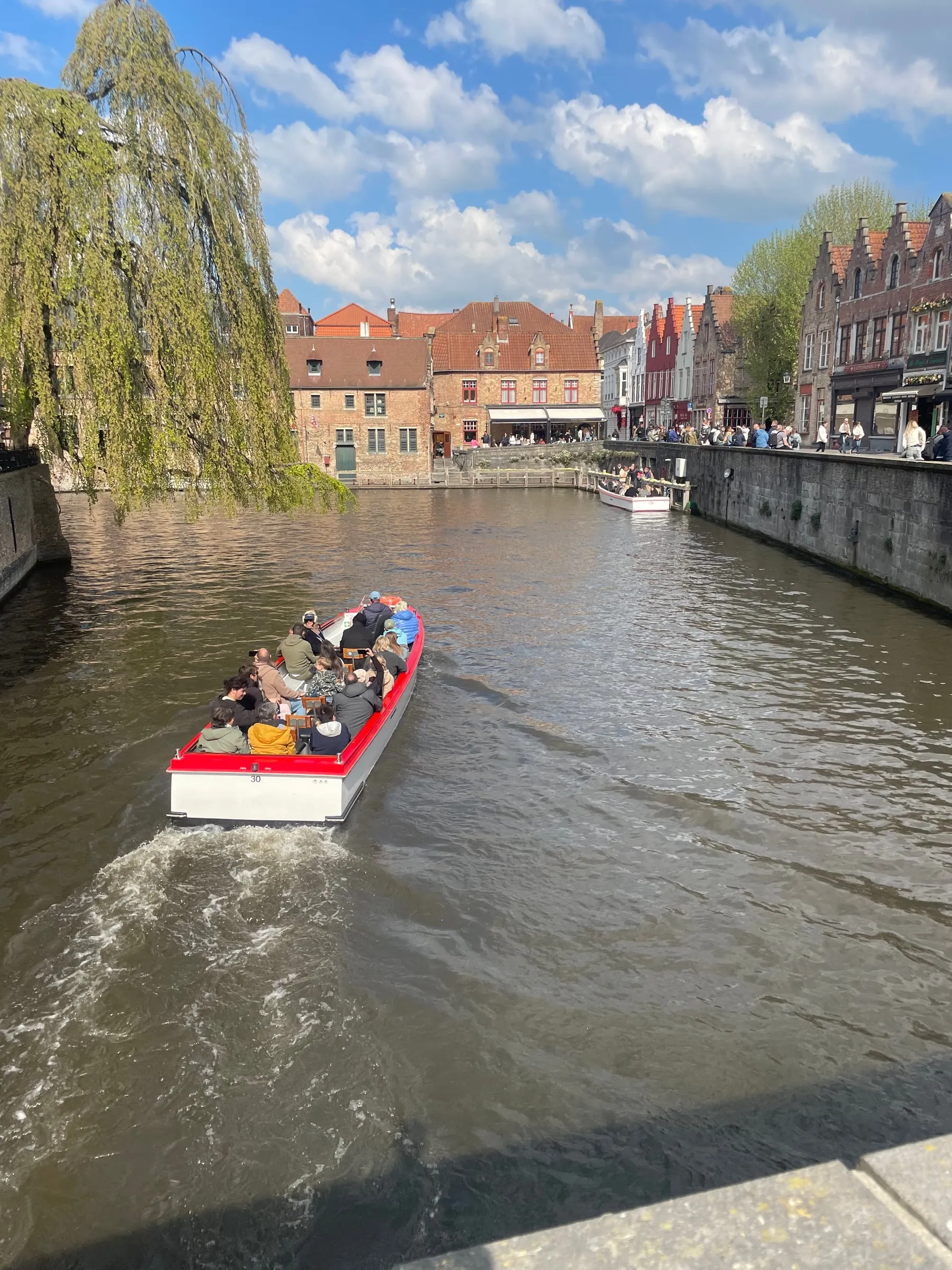 A tour boat on a canal in Bruges, between a willow tree and brick houses, under a blue sky